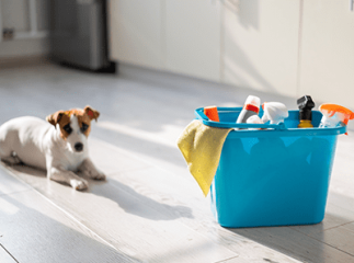chien et produits ménagers